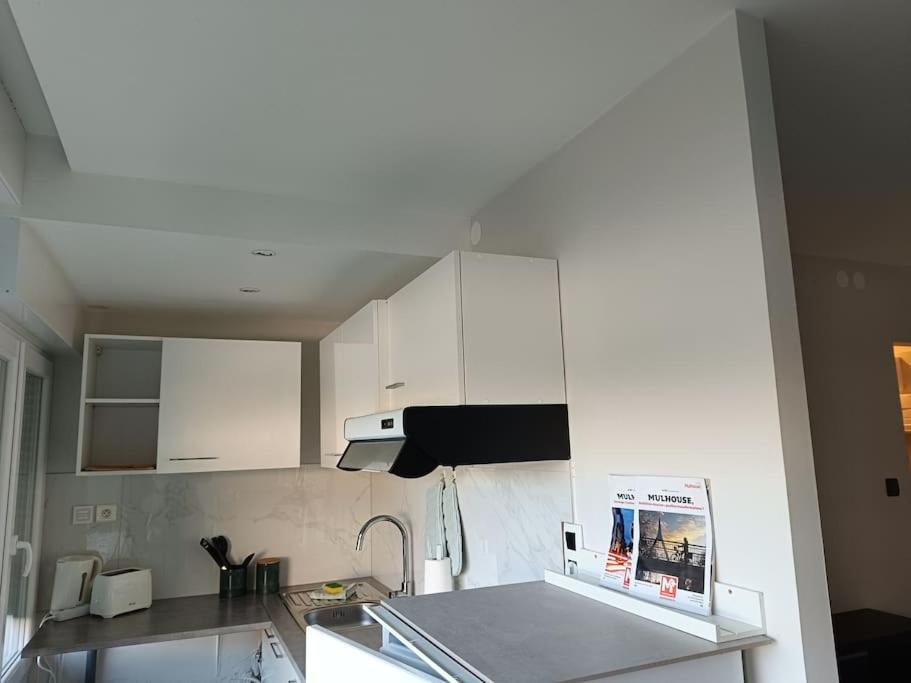 Appartement Proche Du Centre Mulhouse Eksteriør billede